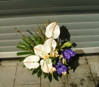 Aranjament Floral in Vas Orhidee Vanda, Frezii, Anthurium
