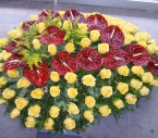 Coroana Anthurium rosu, Trandafiri galbeni, Solidago